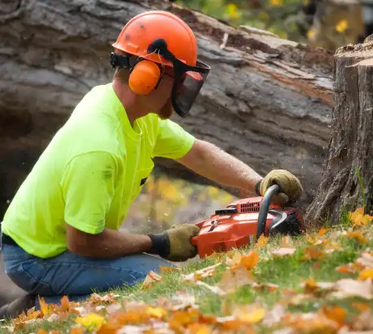 tree services Macon